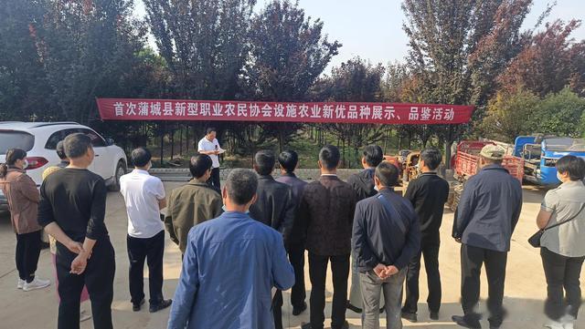 蒲城|观摩品鉴 交流经验 新型职业农民助推设施产业高效发展