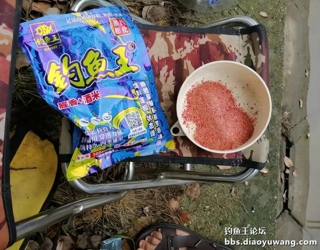 钓鱼王饵料为“媒”,与柳叶鳊异地“牵手”