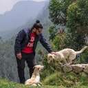 古往今来聪聪谈