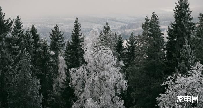 日立|博世家电价格欺诈日立电器营销违法，家电洋品牌很狂妄