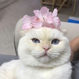 运丰记笔记