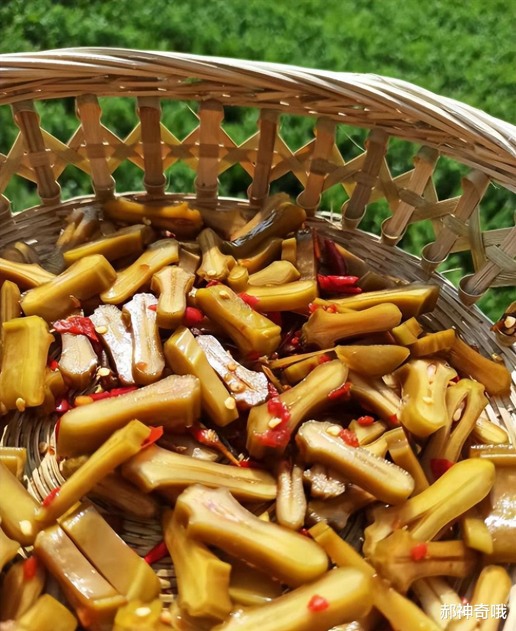 刀豆|明明每株都含有剧毒，农村却常用来做腌菜，如今为何消失不见？