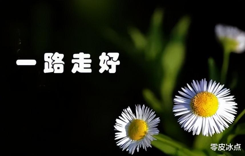 突传噩耗!网红“涛哥”去世,百辆豪车送行,曾与赵本山魏三交好