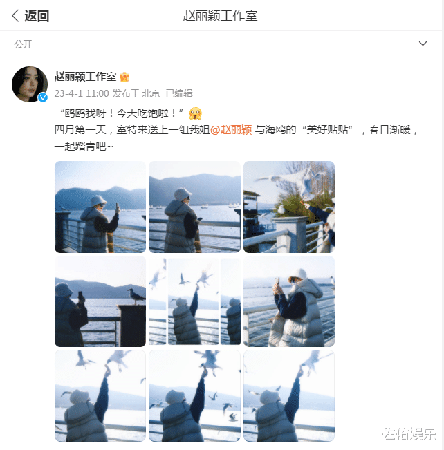 赵丽颖|赵丽颖分享九宫格美照,与海鸥互动被赞人美心善,又美又飒惹人爱