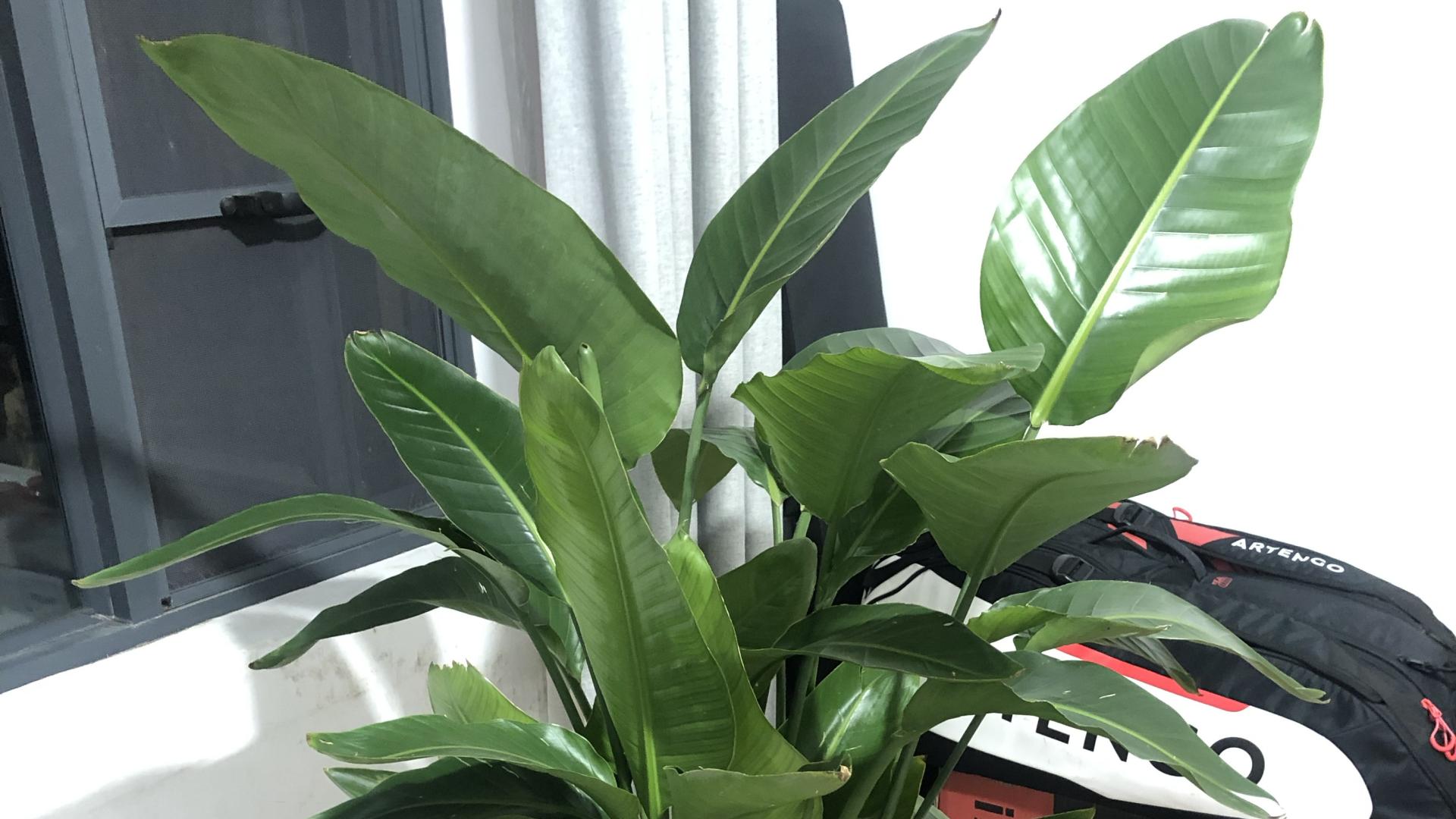 薪水|当你迷茫的时候恰好有人帮你