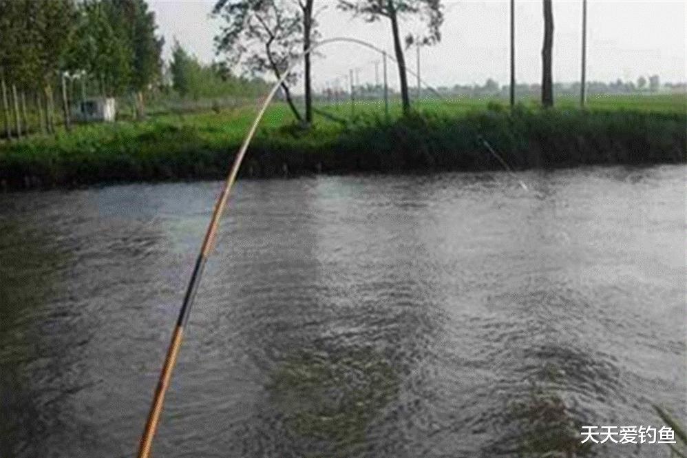 野钓江河活水,这种钓法不用浮漂,闷钓大鱼非常靠谱