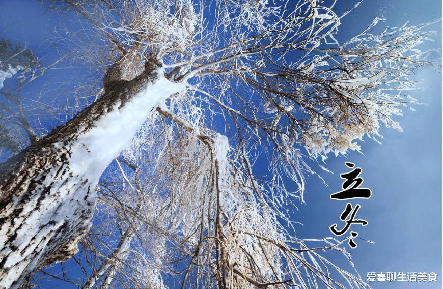 立冬|明日立冬，这肉记得吃，价廉物美好吃不胖，一炸一焖软烂入味好香呀！