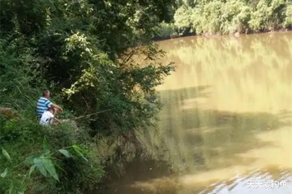 仲秋野钓草鱼，应该用这种钓法了，节气更替方法要变