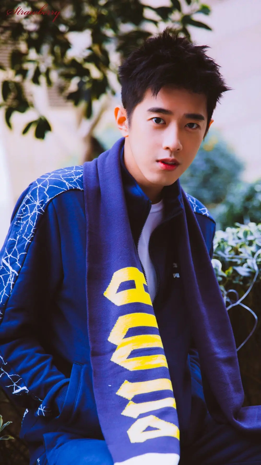 谁说两广无帅哥?来自广东的8位男明星,个个相貌英俊,身高傲人