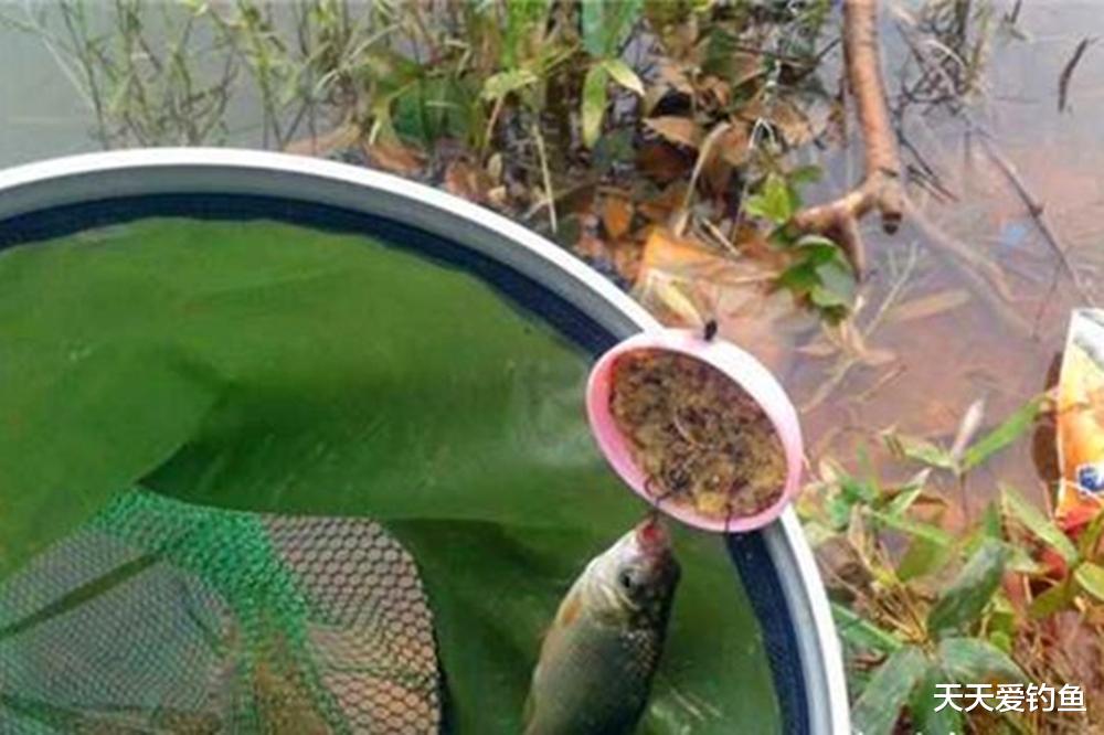 数九寒冬野钓,钓法一定要变通,这3种方法效果不错