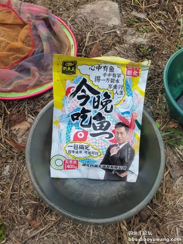 鳊鱼|雾天鱼口好,大鱼跑不了