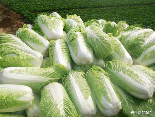 食材|明天大雪，老传统：吃2菜，2肉，2汤，忌2事，顺应时节，健康过冬