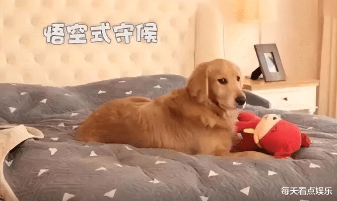 来内地养老的8位香港女星，买别墅领退休金，个个大龄未婚