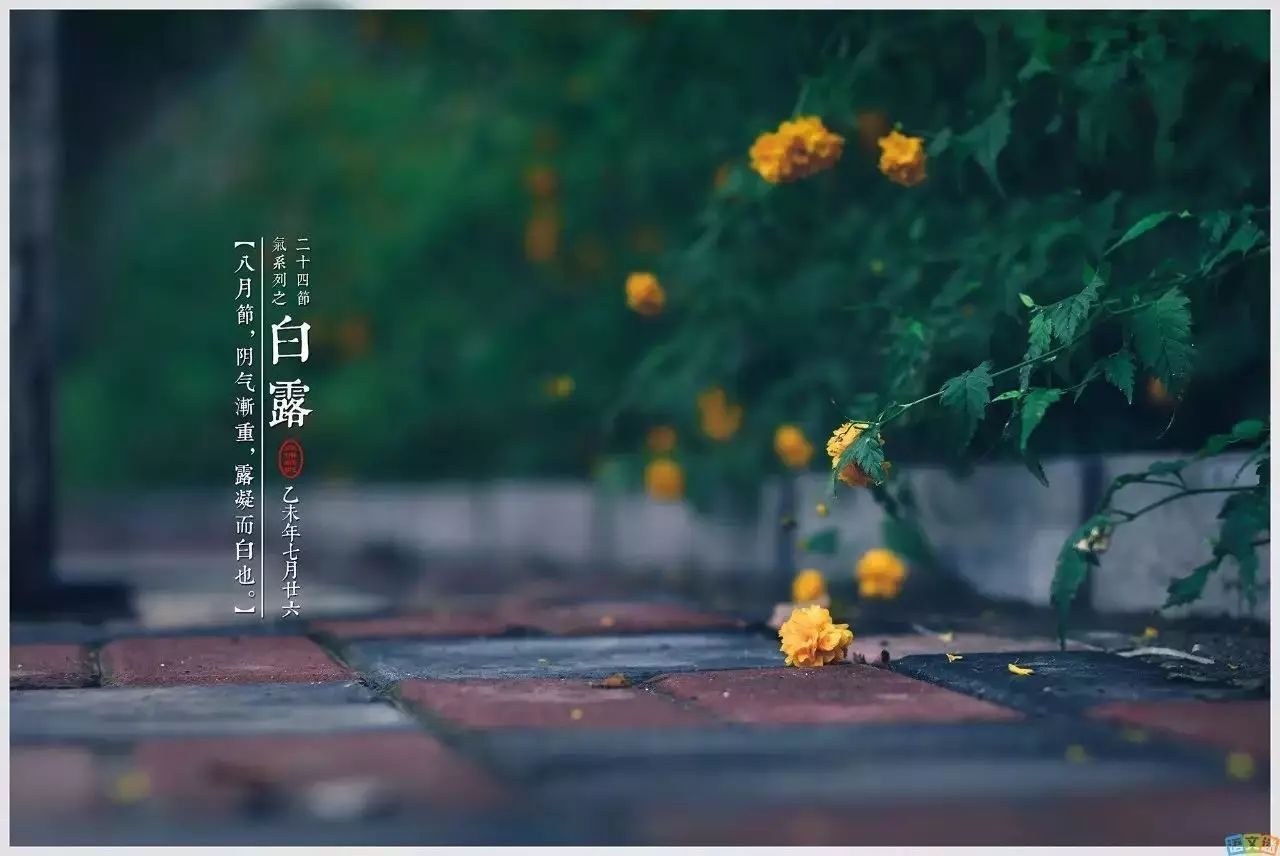 美食教程|今日白露， 俗话说，“白露吃3鲜，一年都安康”，3鲜指啥？该怎样吃？正当季，尊重老传统