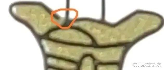 |敬请收藏！飞天茅台酒真假鉴别最全教学