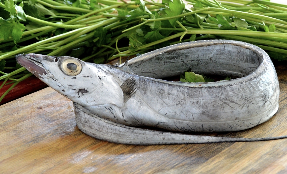 带鱼|带鱼,万万不能只用料酒腌制,多加“这2味”,带鱼香脆颜值高无腥味