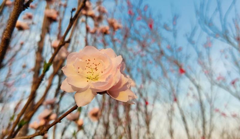 离职|你在职场上受了委屈就要离职吗?