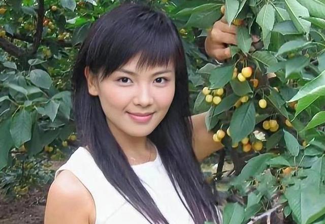 宁静扎900针,倪萍鼻孔外翻,明星里的打针族,掀开了娱圈遮羞布