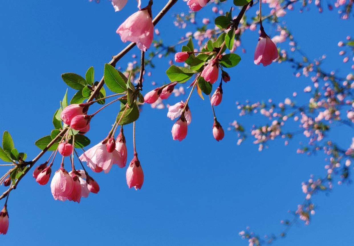 跳槽|为什么越有能力的人越容易离职?