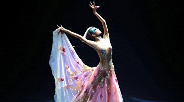 杨丽萍“月亮宫”被查封,表面虽然绚丽夺目,但是深处早已脏乱不堪