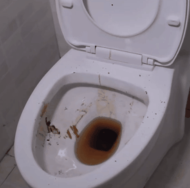 73岁日本主妇生活:5点起床,8点做完所有家务,45年