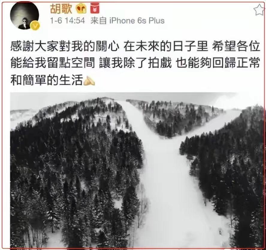 高启强|胡歌为什么敢官宣生女?