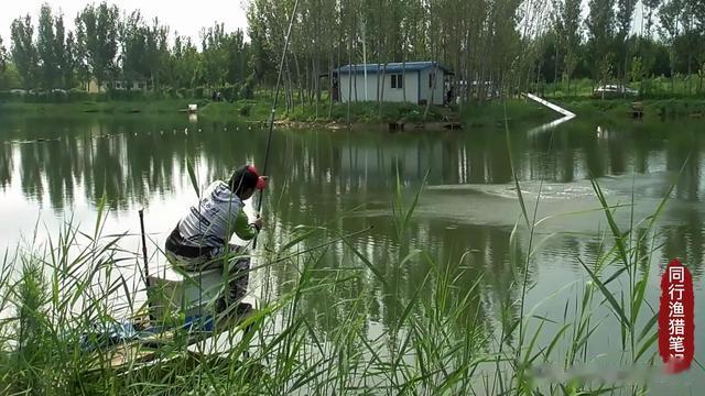 |这套浮漂绝了,微加粗又不失灵性,钓友:可以承包我一年的用漂