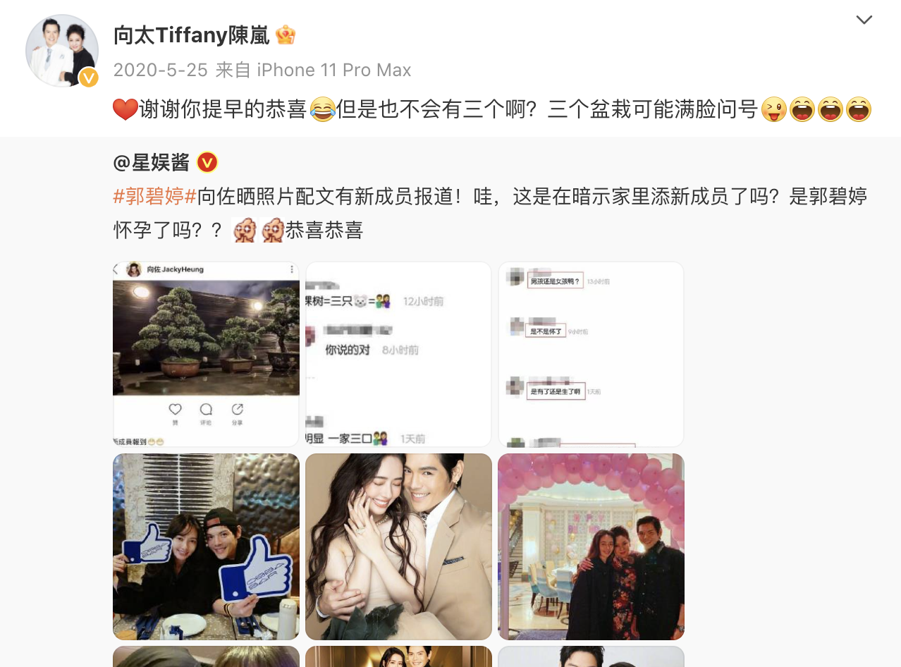 郭碧婷|郭碧婷向佐同框引争议,一人冷漠,一人不悦,网友:貌合神离罢了