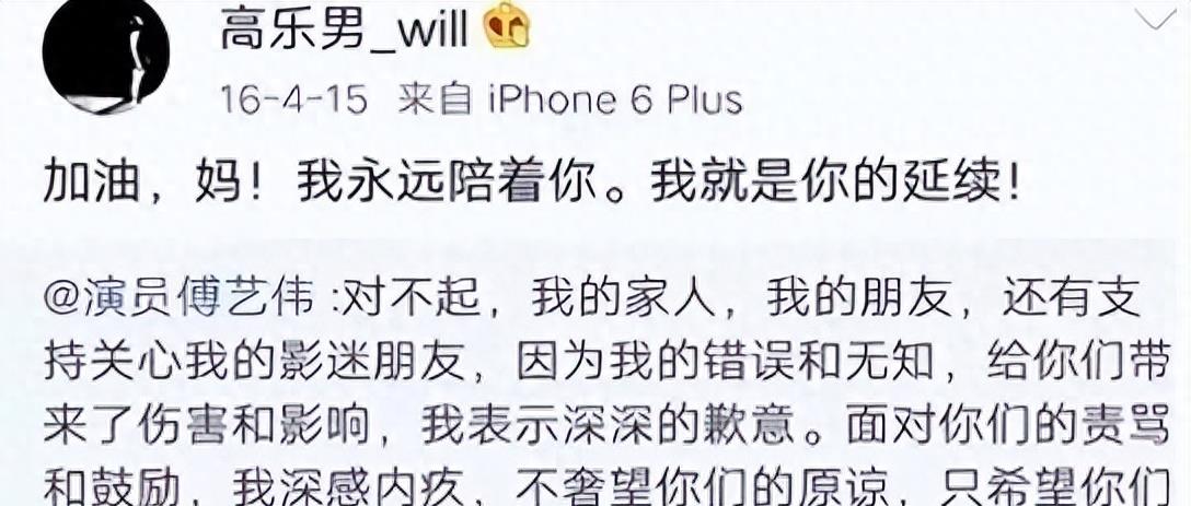 娱乐圈再传噩耗!傅艺伟30岁独子高乐男离世,死因曝光让人叹息