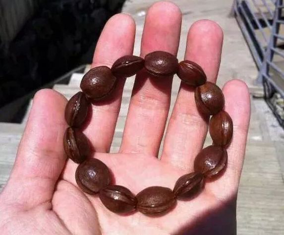 听说杏也可以做文玩