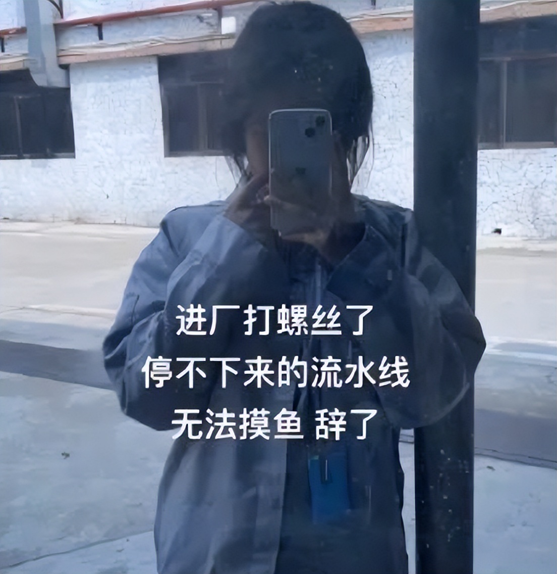 00后大学生晒找工作经历,主打一个“干啥啥不行”,看后笑出鹅叫