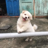 夏兰情感