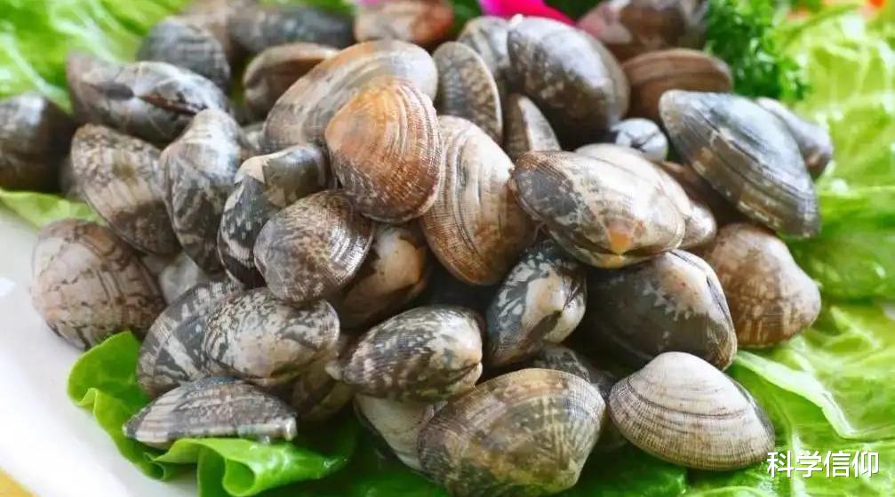 海鲜|海螺、鲍鱼、蛏子、花蛤，贝类海鲜，吃个明白