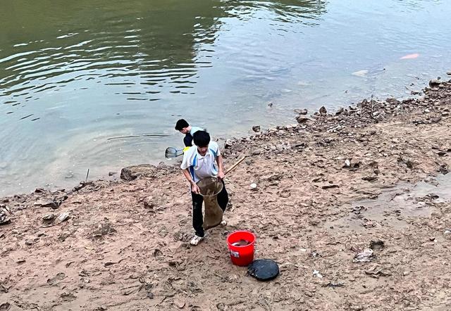 鲤鱼|江苏两小学生河边收获几十斤鱼，附近钓鱼人：不可能是钓的