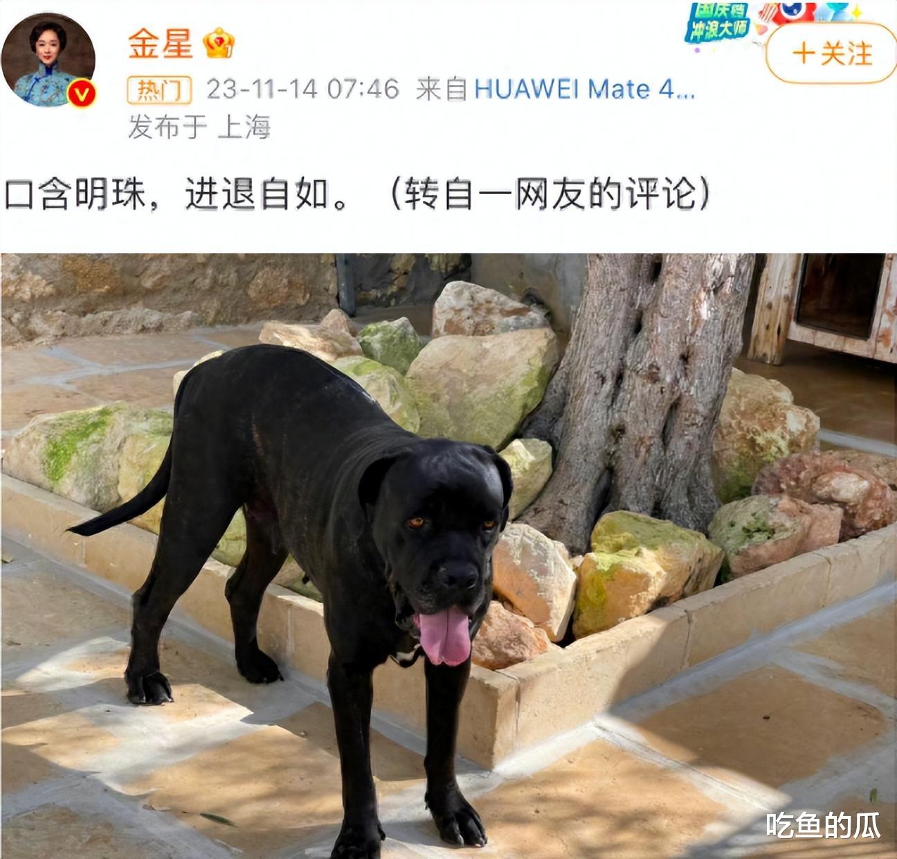 董明珠回应绯闻,王自如被嘲讽,网友挖出他办公室藏避孕套