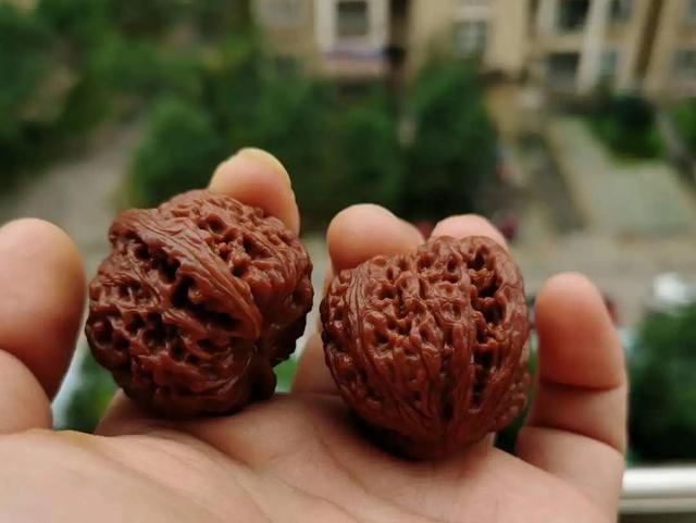 文玩|好玩不贵，不到1年，润得跟驼骨一样！通货玩出来，也可以很硬