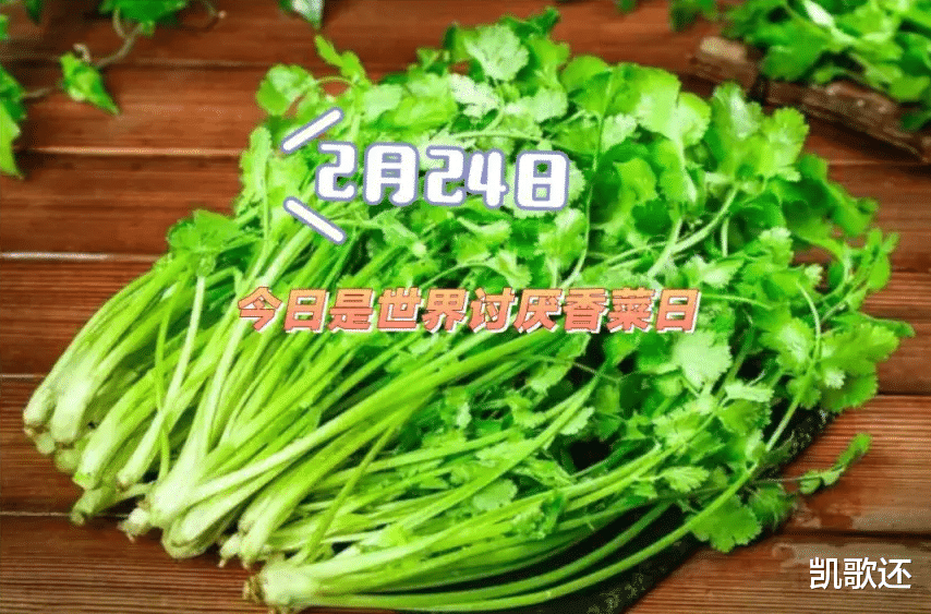 蕺菜|中国“最难吃”的五种蔬菜，尤其前三种争议最大，全爱吃的是牛人