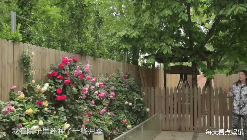 来内地养老的8位香港女星，买别墅领退休金，个个大龄未婚