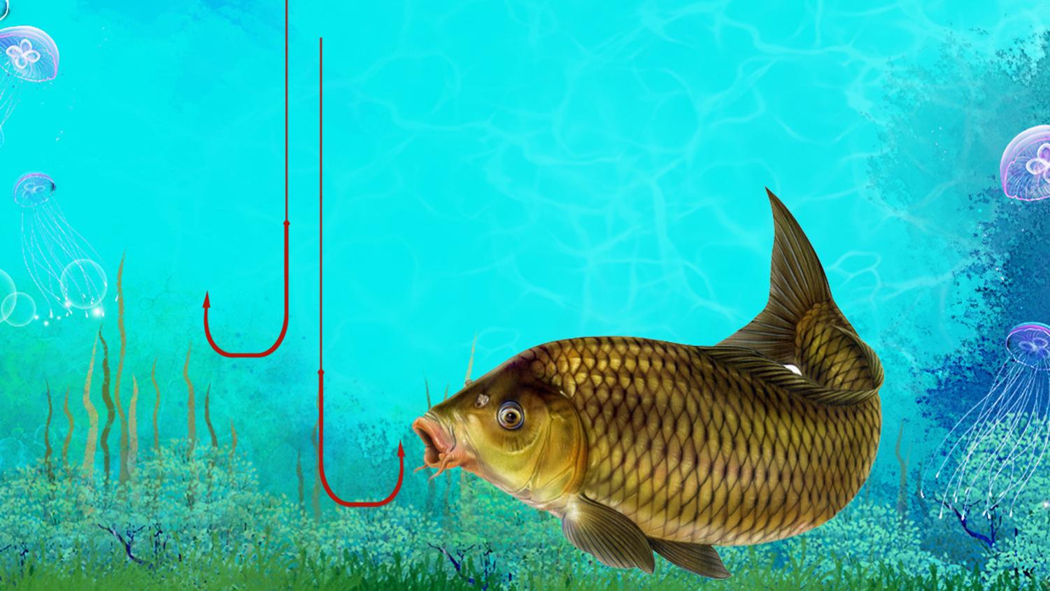 |为什么鱼都喜欢藏身在脏乱处？鱼喜欢藏身在脏乱处的三个原因