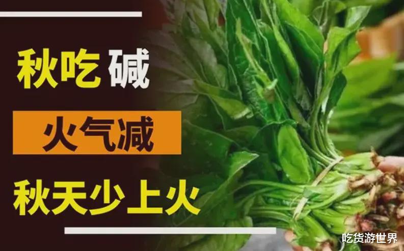 |“秋吃碱,火气减”,入秋后常吃4道碱性菜,润燥下火,安稳过秋