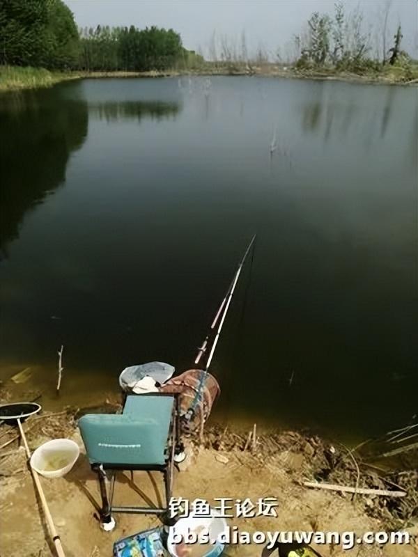 战高温酷暑,获大鲫双草