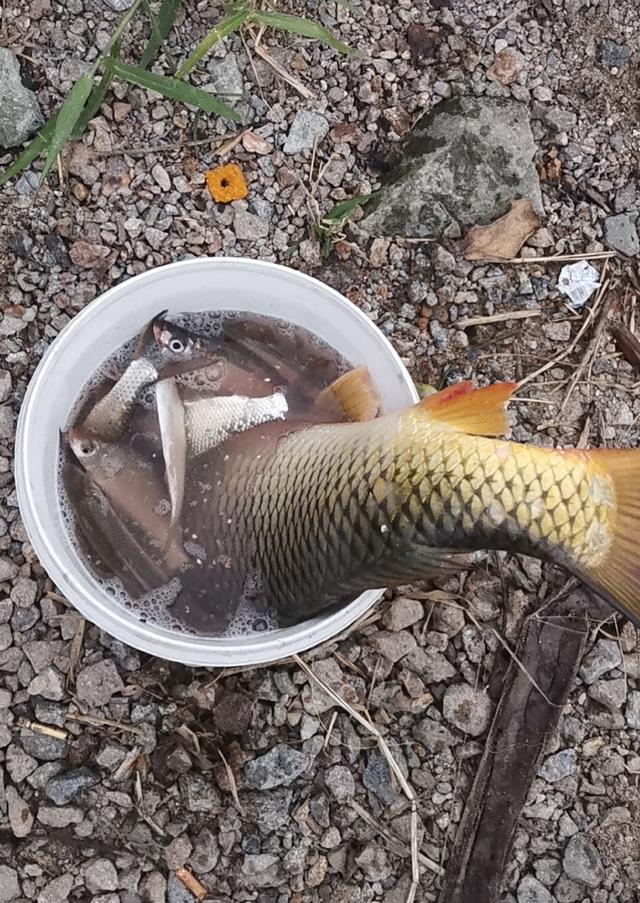 饵料|钓鱼过程中几件神奇的事情盘点,真的没法解释么?