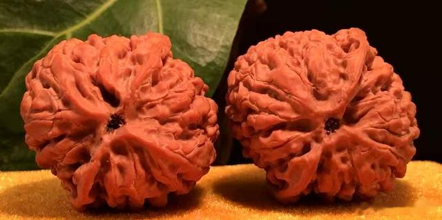 珐琅彩|150种文玩核桃品种分享之103:鸭嘴兽