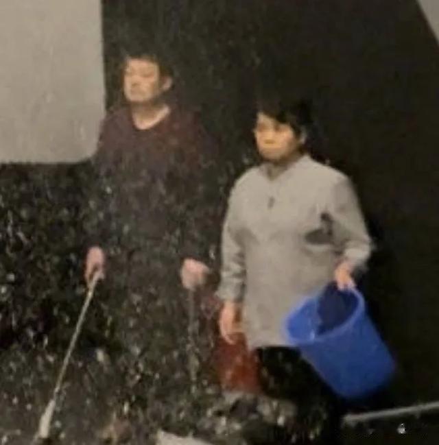 全网吐槽葛优舒淇《非诚勿扰3》大烂片!票房惨败,冯小刚好丢人