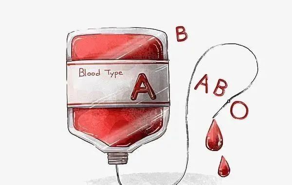 o型血万能血图片