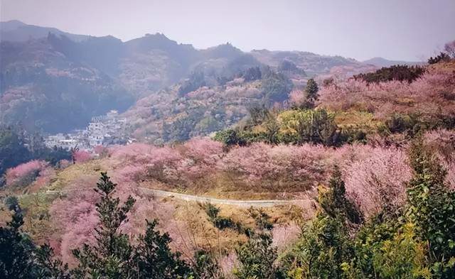 歙县|歙县卖花渔村，隐藏在大山深处的古村落