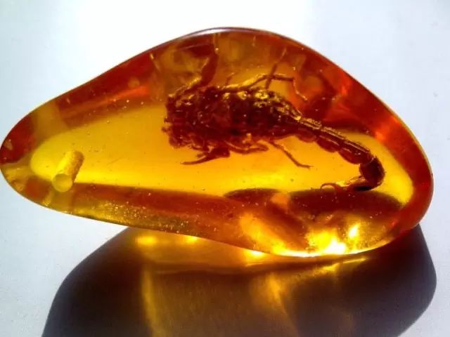 银币|琥珀还是蜜蜡?