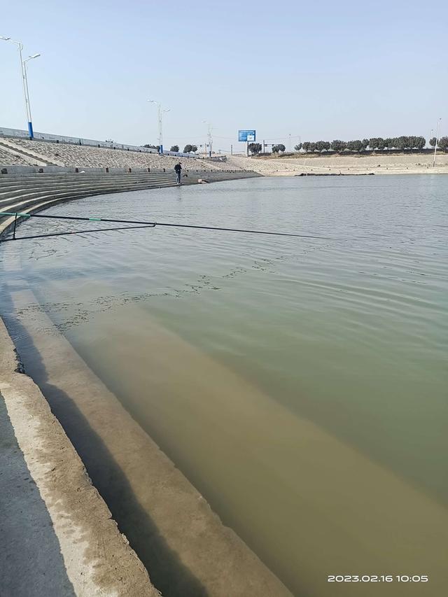 鲫鱼|阳光正正好，钓鱼再出发！