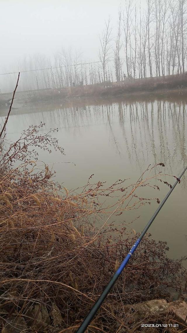 寒潮|冬钓寻着规律走，寒潮欲来出好口