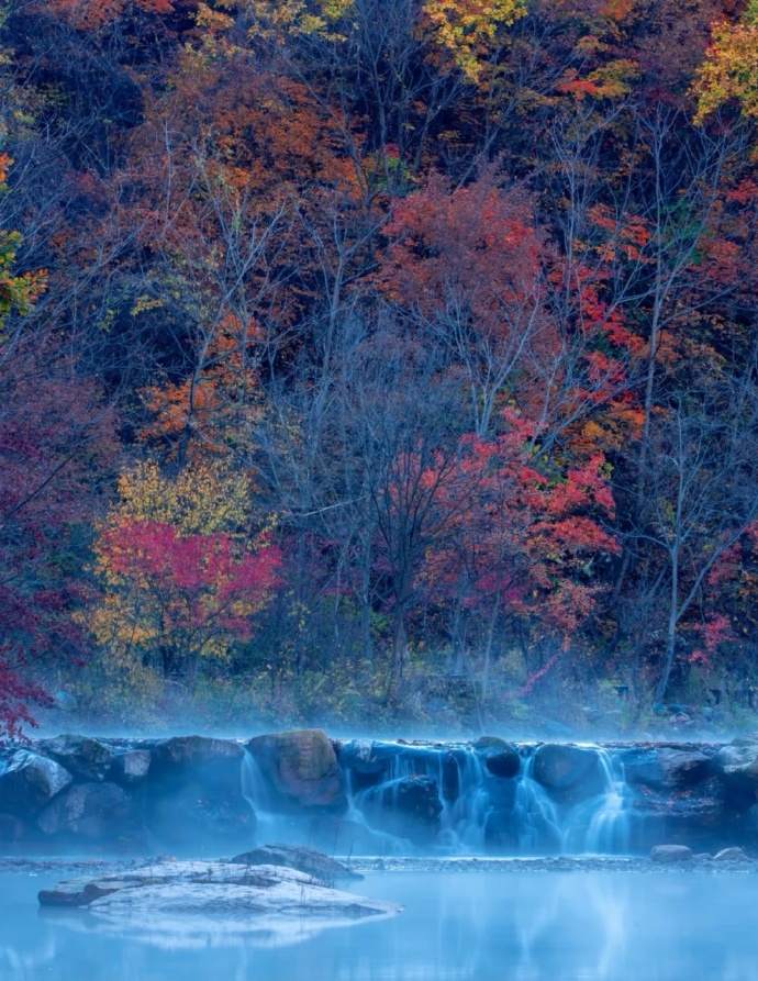 全职妈妈|生完孩子后，你愿意做全职妈妈还是回归职场？
